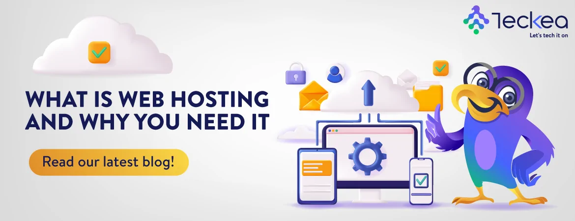 Web Hosting uae